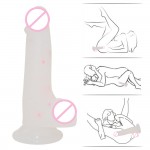 Mr. Jelly Joy Dildo