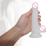 Mr. Jelly Joy Dildo