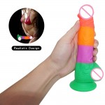 Mr. Rainbow Joy Dildo