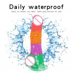 Mr. Rainbow Joy Dildo
