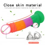 Mr. Rainbow Joy Dildo