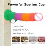 Mr. Rainbow Joy Dildo