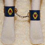 LYJ Royal Guard 8-Piece Bondage Set