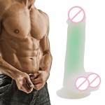 Mr. Luminous Joy Dildo