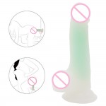 Mr. Luminous Joy Dildo