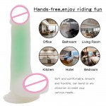 Mr. Luminous Joy Dildo