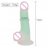 Mr. Luminous Joy Dildo
