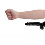 11.02" Mr.Sunshine The Straight Head Joy Dildo