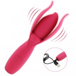 TaNi Power Massager
