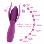 TaNi Power Massager