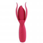 TaNi Power Massager