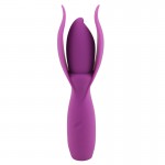 TaNi Power Massager