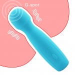 Tasha Power Massager