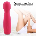Tasha Power Massager