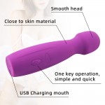 Tasha Power Massager