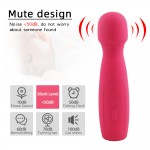 Tasha Power Massager