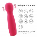 Tasha Power Massager