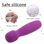 Tasha Power Massager