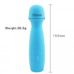 Tasha Power Massager