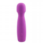 Tasha Power Massager