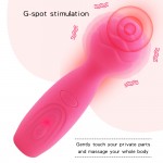 TaLie Power Massager