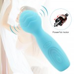 TaLie Power Massager