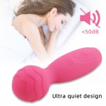 TaLie Power Massager