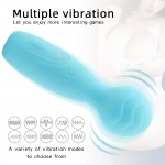 TaLie Power Massager