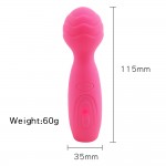 TaLie Power Massager