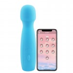 TaLie Power Massager