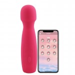 TaLie Power Massager