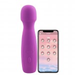TaLie Power Massager