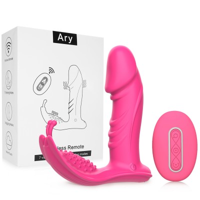 Ari Joy Vibe