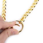 Concept Neck to Wrist BDSM Metal Detachable Cuff Set