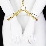 Concept Neck to Wrist BDSM Metal Detachable Cuff Set