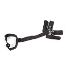 Concept Sinful Ballgag to Wrist and Ankle Cuffs