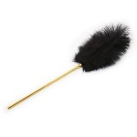Golden Whip & Feather Tickler