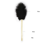 Golden Whip & Feather Tickler