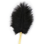 Golden Whip & Feather Tickler