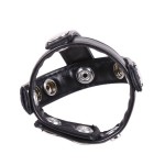 Dominus T-Strap Cock Cage