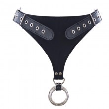 Rogue Command Bottom Harness