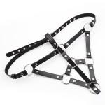 Strapped Seduction Leather Cage Panty