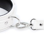 Colorful Sweet Surrender Collar and Leash