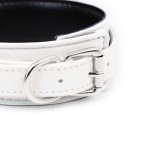 Colorful Sweet Surrender Collar and Leash