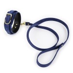 Colorful Sweet Surrender Collar and Leash