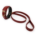 Colorful Sweet Surrender Collar and Leash