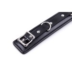 Crimson Surrender Comfort Leather Collar with Leash 