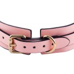 Leather Collar with Leash - Glow-in-the-Dark