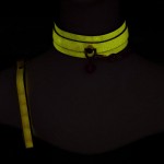 Leather Collar with Leash - Glow-in-the-Dark
