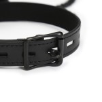 Soft Faux Fur Collar with Leash